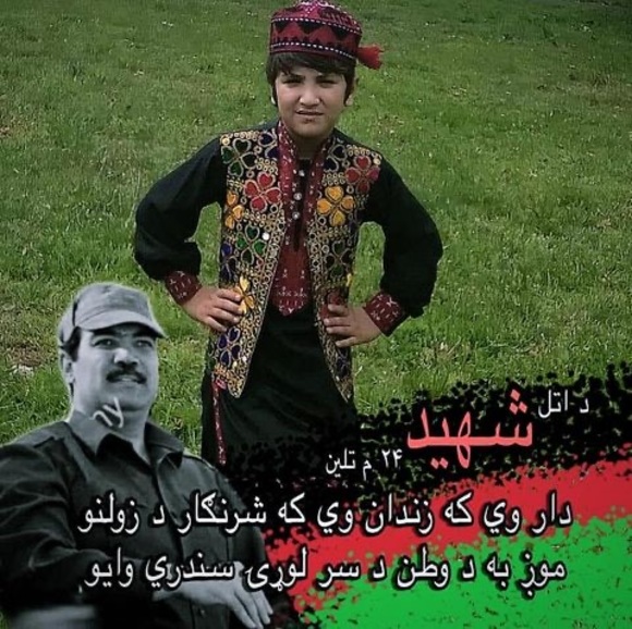 sufzai85